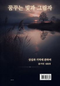 꿈꾸는 빛과 그림자